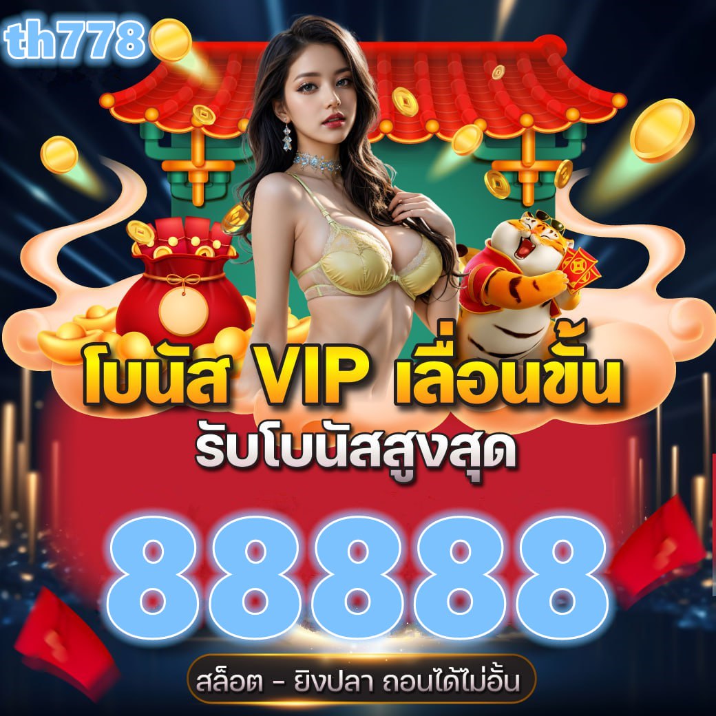 เว็บ cat888